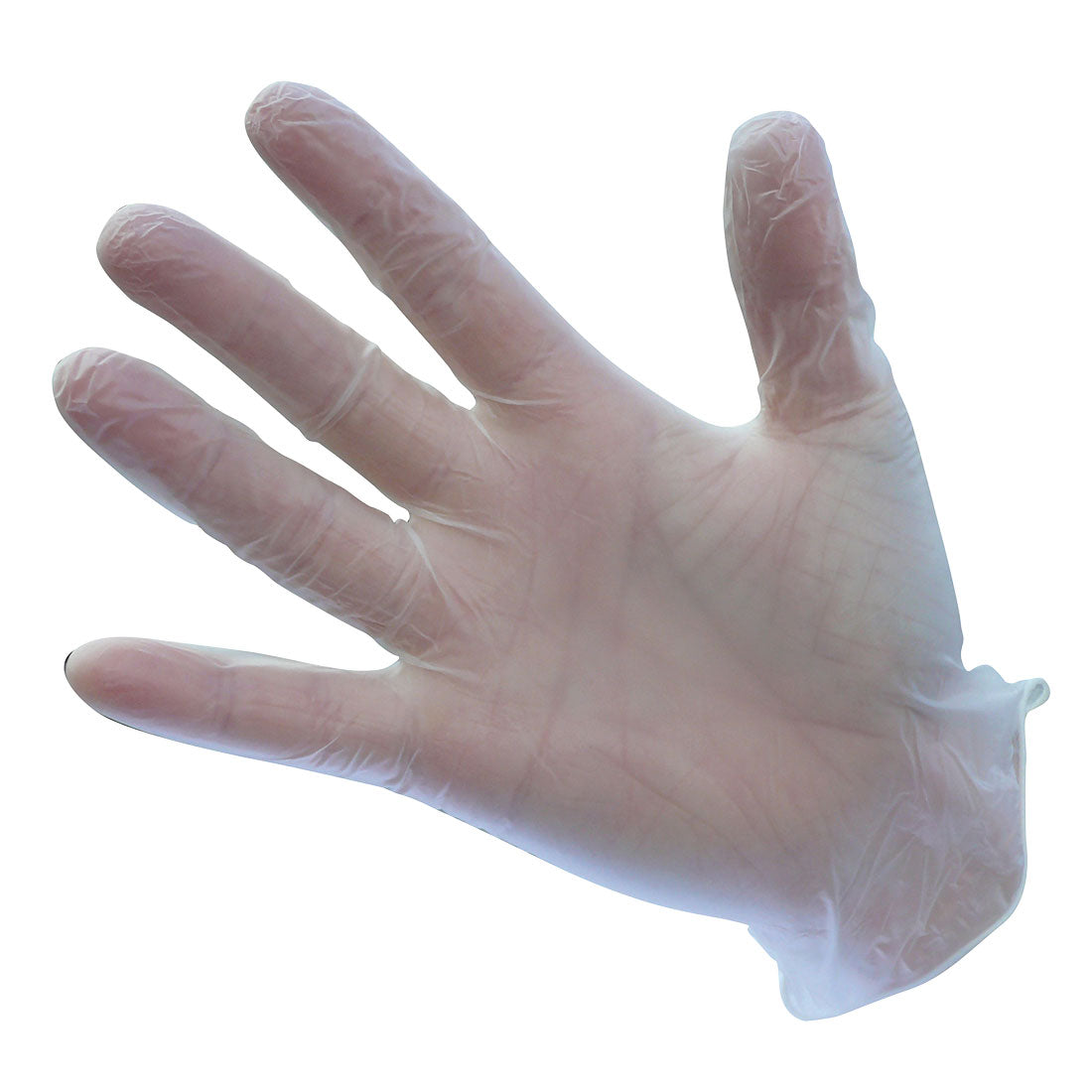 Portwest Powdered Vinyl Disposable Glove (Pk100)- Style A900